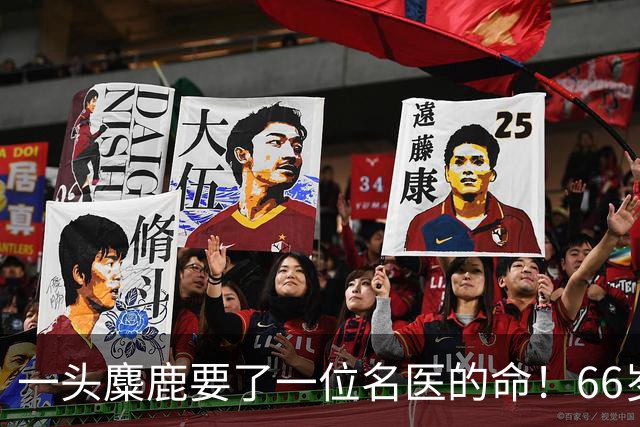 一头麋鹿要了一位名医的命！66岁美国医生夜间车祸身亡，诊所发文悼念