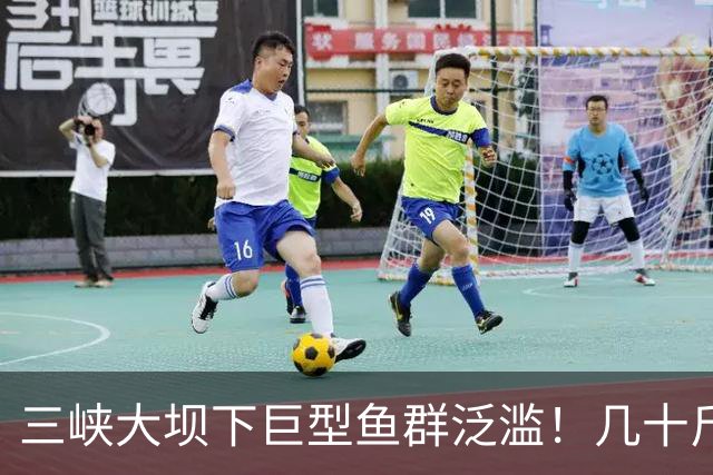 三峡大坝下巨型鱼群泛滥！几十斤鲢鳙到处都是，这现象是好是坏？