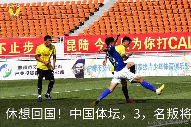 休想回国！中国体坛，3，名叛将，夺冠后不承认是国人，结局大快人心