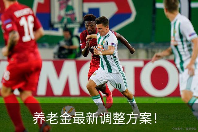 养老金最新调整方案！