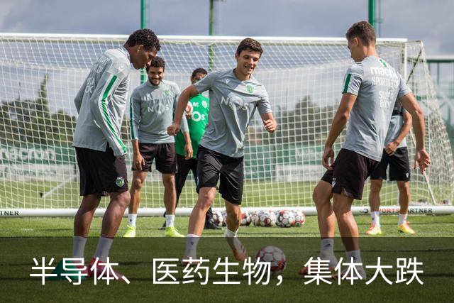 半导体、医药生物，集体大跌