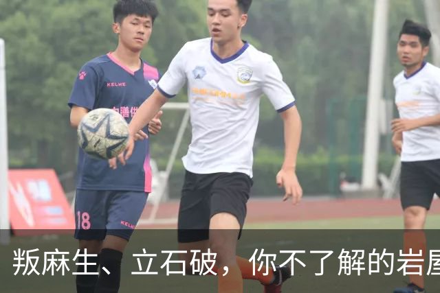 叛麻生、立石破，你不了解的岩屋毅！