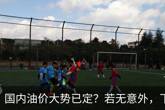 国内油价大势已定？若无意外，下个月起燃油车主或要直面3个现实