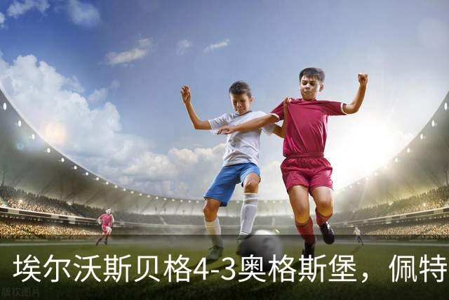 埃尔沃斯贝格4-3奥格斯堡，佩特科夫传射，主裁判四点