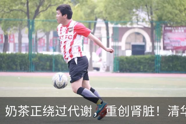 奶茶正绕过代谢，重创肾脏！清华大学：果糖不必先经传统代谢，就能直接损害线粒体功能，伤及肾小球，造成肾损伤