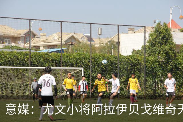 意媒：尤文小将阿拉伊贝戈维奇无大碍，仅肌肉疲劳