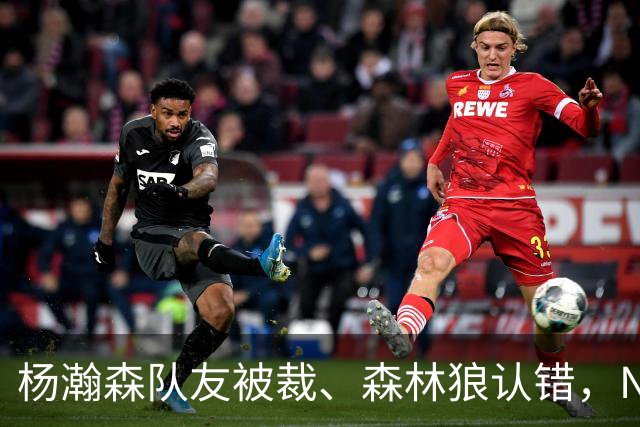 杨瀚森队友被裁、森林狼认错，NBA高个控卫实验，为什么都失败了