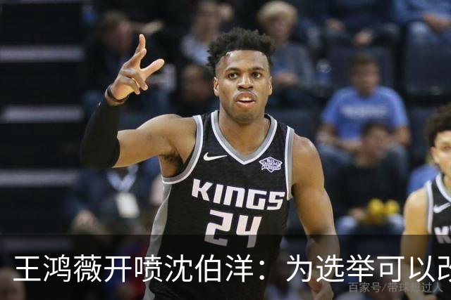 王鸿薇开喷沈伯洋：为选举可以改变自己的人设？确实厉害！
