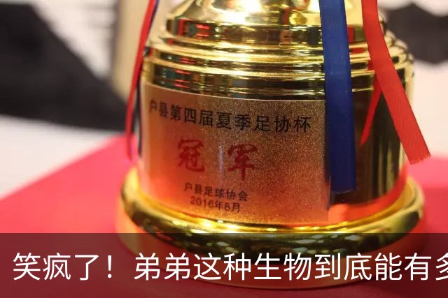 笑疯了！弟弟这种生物到底能有多不正常？网友：姐，能介绍给我吗？