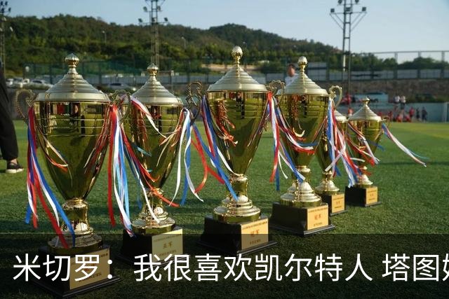 米切罗：我很喜欢凯尔特人 塔图姆&怀特能从我的掩护中得到机会
