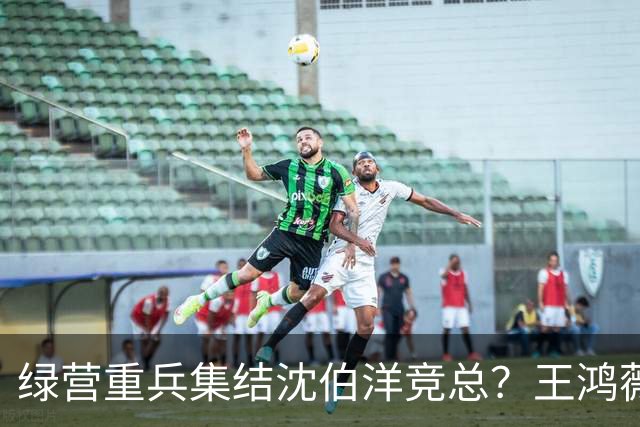 绿营重兵集结沈伯洋竞总？王鸿薇示警：蒋万安辩论恐遭断章取义