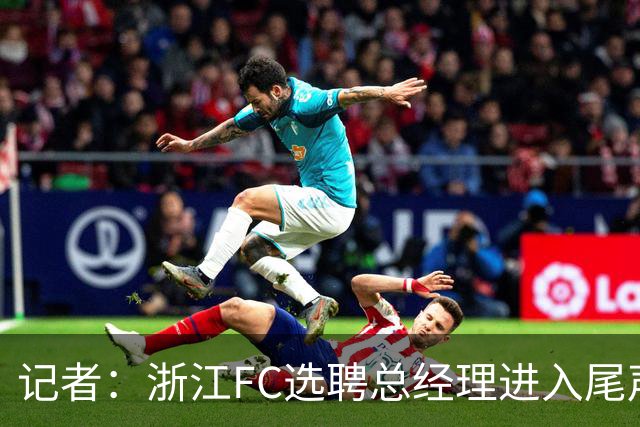 记者：浙江FC选聘总经理进入尾声，多名前国脚进入面试