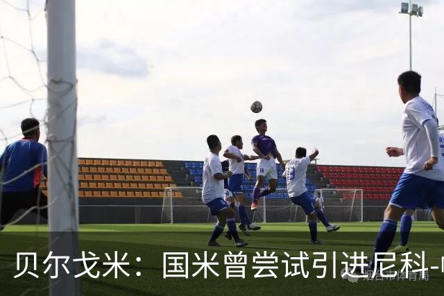 贝尔戈米：国米曾尝试引进尼科-帕斯
