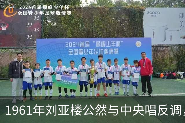1961年刘亚楼公然与中央唱反调，毛主席无奈让步：直言我管不了了！