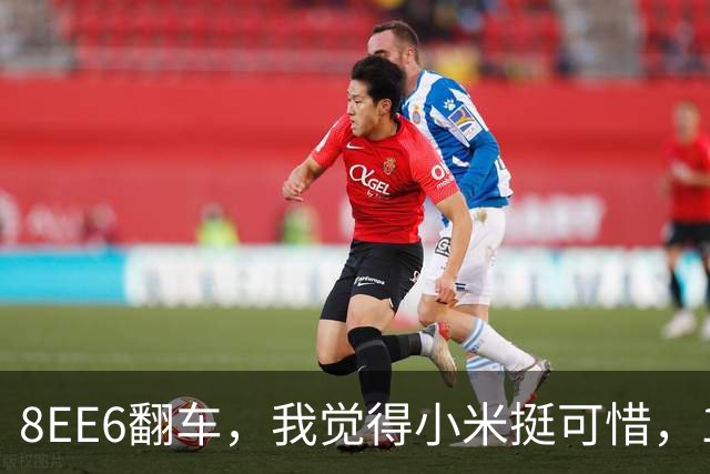 8EE6翻车，我觉得小米挺可惜，18没上玄戒，没给自己留一条退路