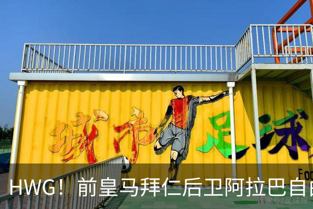 HWG！前皇马拜仁后卫阿拉巴自由身加盟意甲乌迪内斯